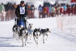 Lenk 2013